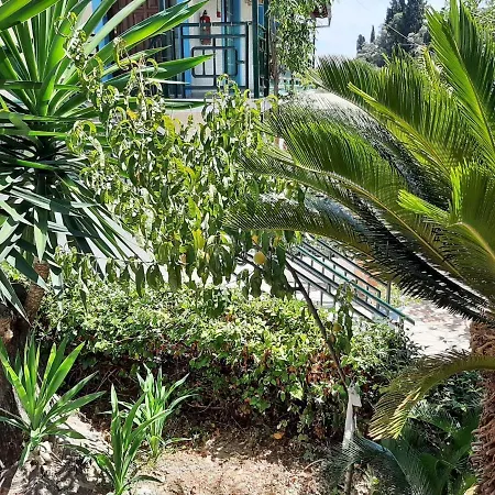 Cheerful In With Balcony Appartement